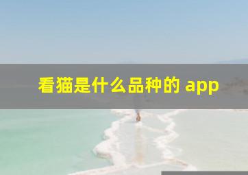 看猫是什么品种的 app